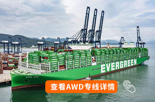 AWD海運(yùn)+卡車(chē)派送